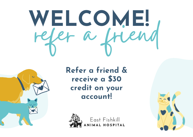 Carousel Slide 1: refer a friend $30 credit