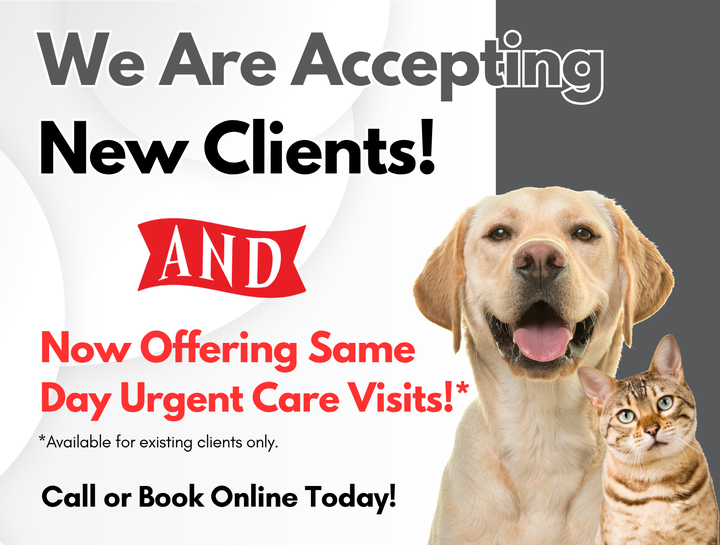 Now Accepting New Clients & Offering Same-Day Urgent Care Visits